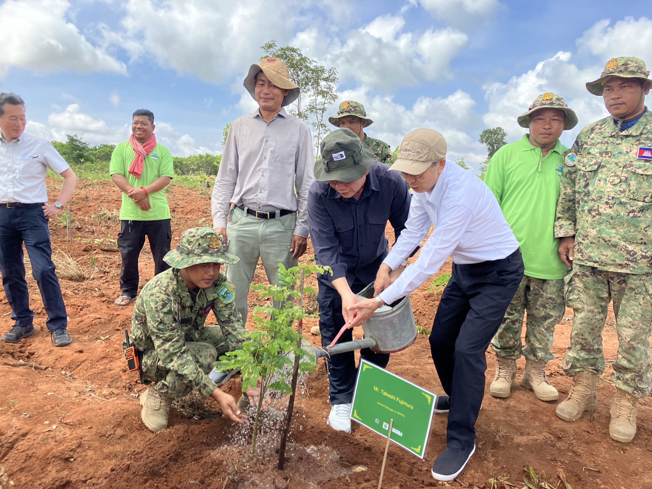 reforestation
